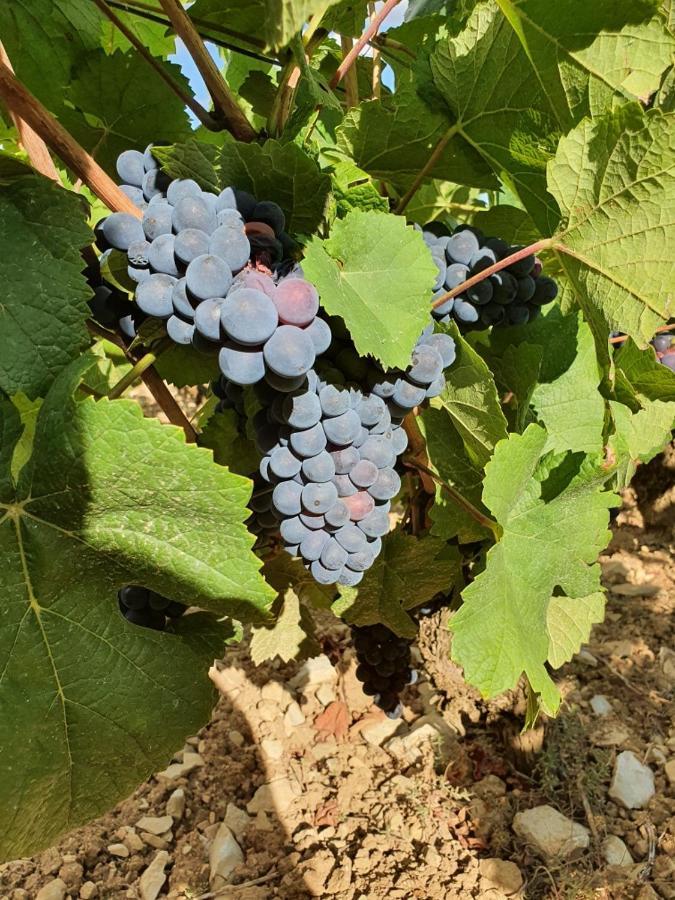 Chaudenay La Fruitiere 아파트 외부 사진