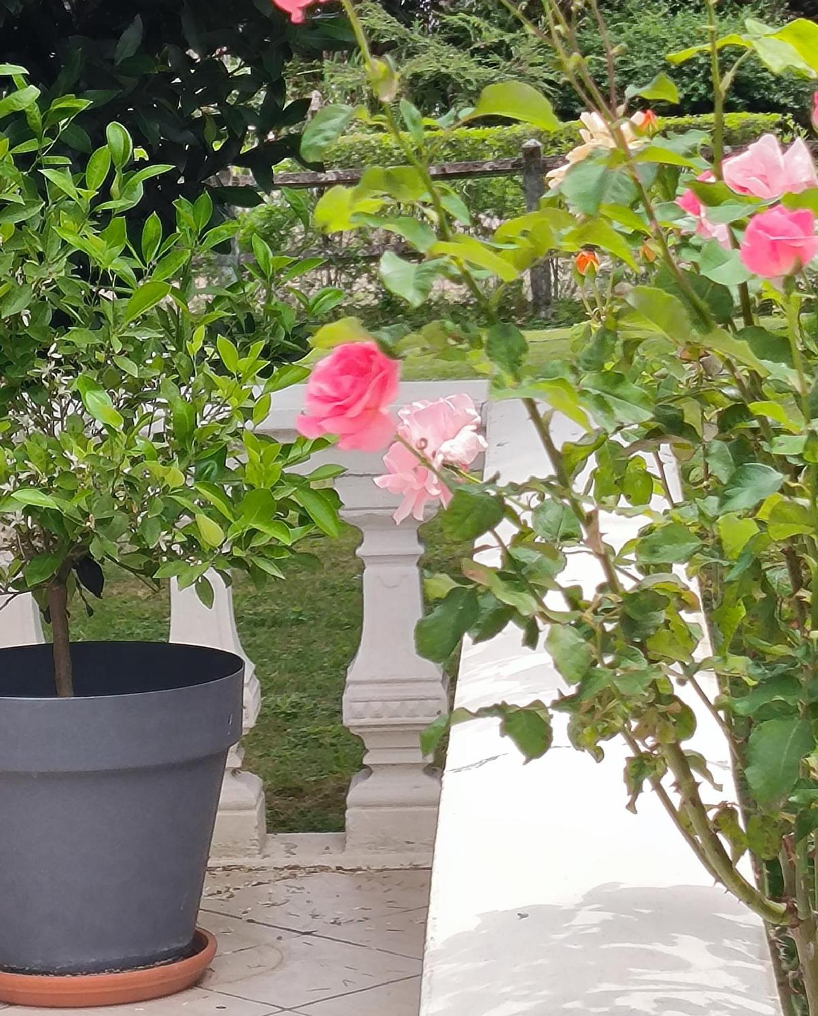 Chaudenay La Fruitiere 아파트 외부 사진